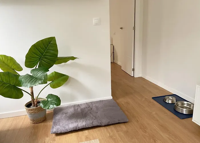 Entre Playa Y Ocio 산탄데르